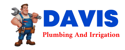 Trusted plumber in THOREAU